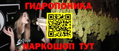 крисы Ливны
