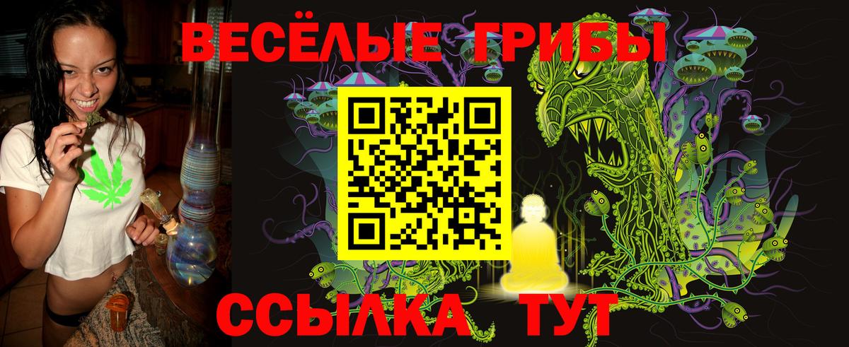Псилоцибиновые грибы прущие грибы  Вход с VPN  Грязи 