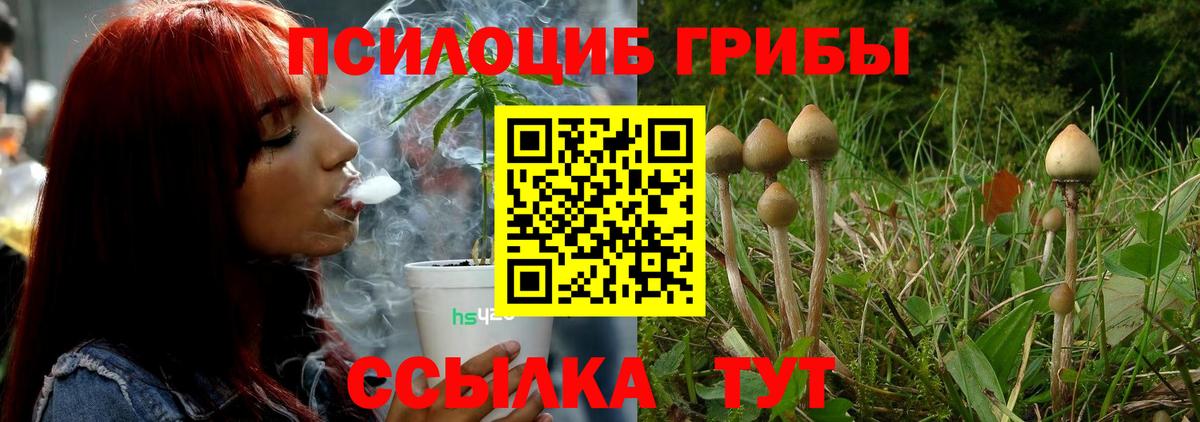 Псилоцибиновые грибы мицелий Грязи